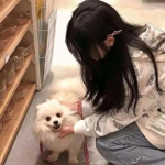 猛鬼宿舍狼人杀版本下载